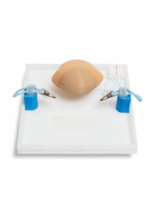 Physical training module for myomectomy procedure.