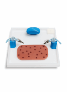 Physical training module for endometrial lesions procedure.