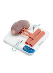 Fizyczny moduł treningowy nefrektomii oszczędzającej nerki.