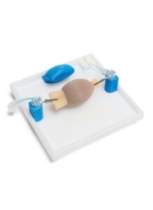 Fizyczny moduł treningowy procedury wyłuszczenia guza litego jajnika.