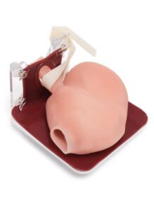 Fizyczny moduł treningowy procedury fundoplikacji nissena.